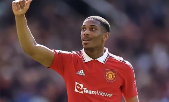 奇与穆雷配 奇与穆雷配